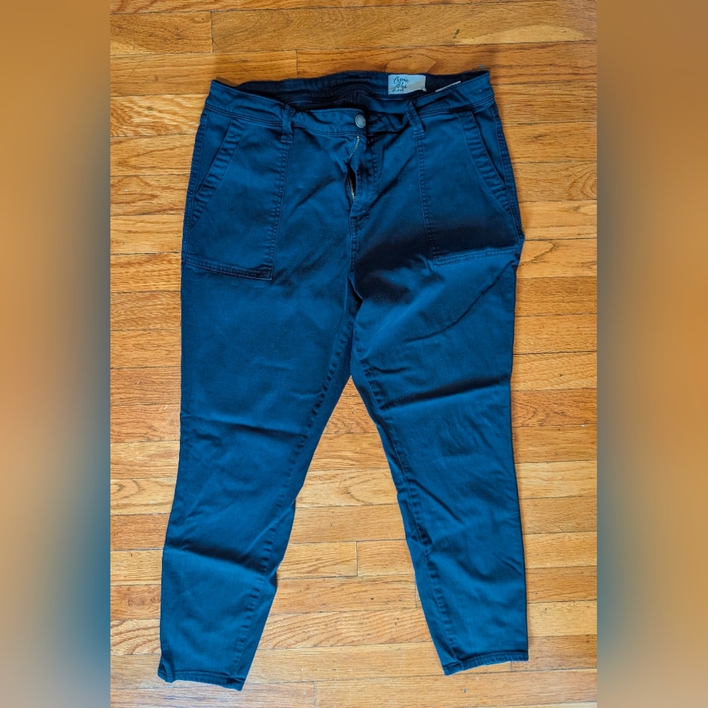 Cosmic Blue Love Twill Cropped skinny pant sz 33